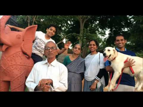 Phoebe, the Golden turns two today :)