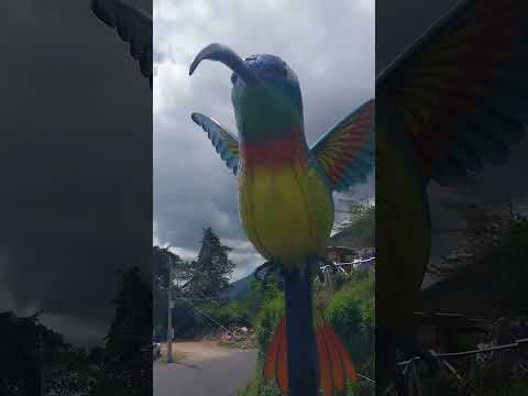 Atitlán San Pedro La Laguna Sololá mirador del colibrí. Parte 2
