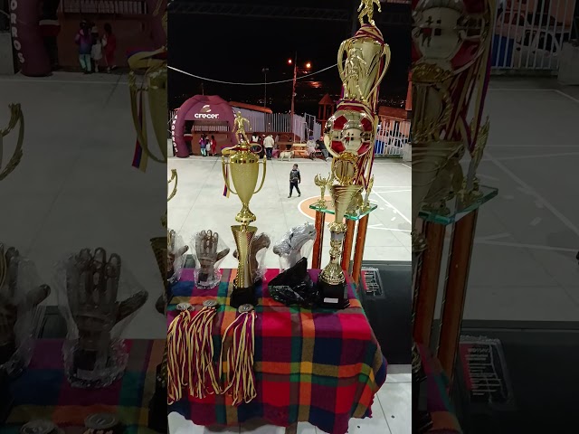 Vídeo relacionado con Hayaww 6 Piezas Medallas Trofeos Set de Premios para Niños trofeos de medallas Set Trofeo de plástico de Oro medallas ganadoras para Kid Party Sports Awards juego de trofeos y medallas
