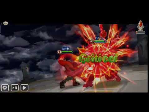 Leo Ragdoll AO to G1