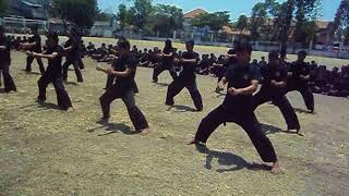 Download lagu JURUS INTI TENAGA DALAM WS PAMUNGKAS HUT 16 KTOBER 2011 KARTOPURAN mp3