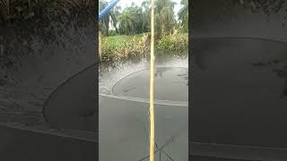 Download lagu nangkap ikan pakai tangkul besar di rawa2 mp3 Download lagu nangkap ikan pakai tangkul besar di rawa2 mp3