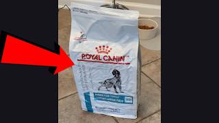 Dog Food for Allergies & Itchy Skin