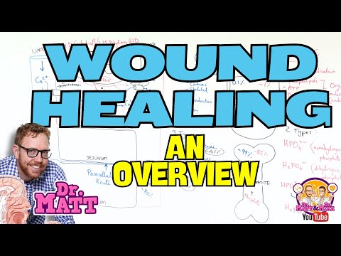 Wound Healing | An Overview