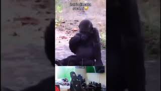 Download lagu MEME VIRAL‼️ #meme #memes #shorts mp3