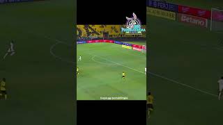 Gol anulado do Flamengo Impedido (Volta Redonda x Flamengo) Carioca 17/01/2026