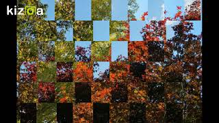 Kizoa 動画 編集: うどん県で有名な三色紅葉の法泉寺