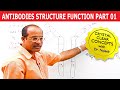 Antibodies | Immunoglobulins Structure & Function | Part 1