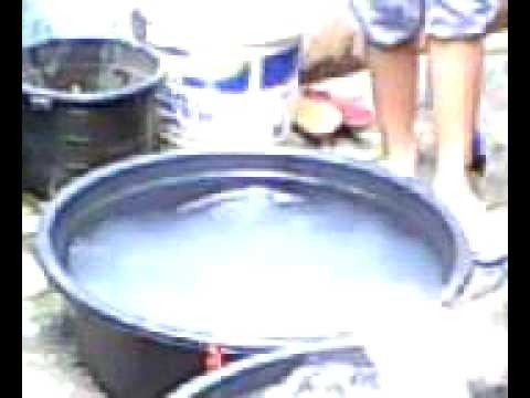 Basahin ang pagganyak upang mawala ang timbang Ang mga katangian ng pundamental na mga langis para sa pagbaba ng timbang