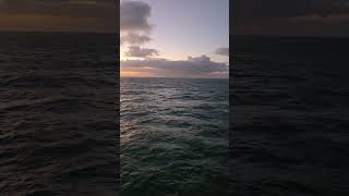 This is How You Wake Up on the MSC Poesia #cruiselife #luxury #travel