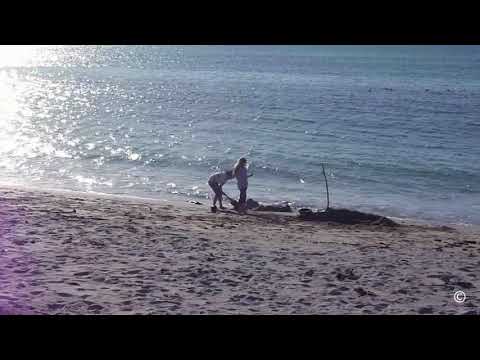 Edgar Smári - Into The Light (English version of Söknuður 1977)