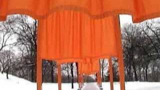 The Gates to &quot;Suntrapper&quot; by The Triffids