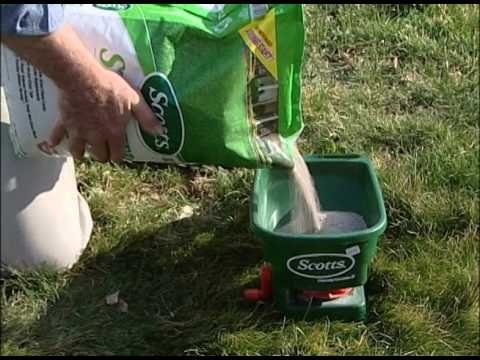 How to Over-Seed Bare Spots in Your Lawn