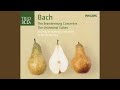 J.S. Bach: Orchestral Suite No. 2 in B Minor, BWV 1067 - 4. Bourrée I-II