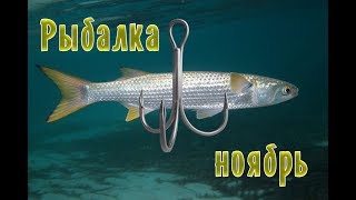 Ловля пеленгаса на черном море с берега