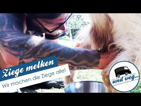 , title : 'Ziege melken 🐐 Wir machen die Ziege alle!'