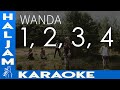 Wanda - 1, 2, 3, 4 (karaoke)