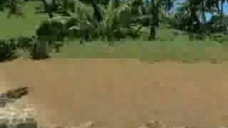 Crysis