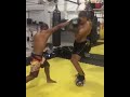 The balance of Alex Pereira ?