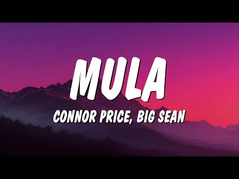 Connor Price & Big Sean - Mula (Lyrics)