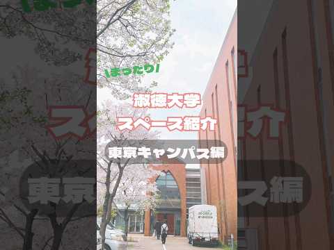 社会福祉学科 淑徳大学のおすすめスペース大公開！！ #shorts
