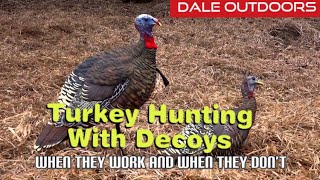 Turkey hunting with decoys. When they work and when they don't