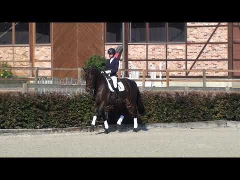 32 Fräuleinwunder v. Fahrenheit - San Amour  *MARBACHER WOCHENENDE 2020*