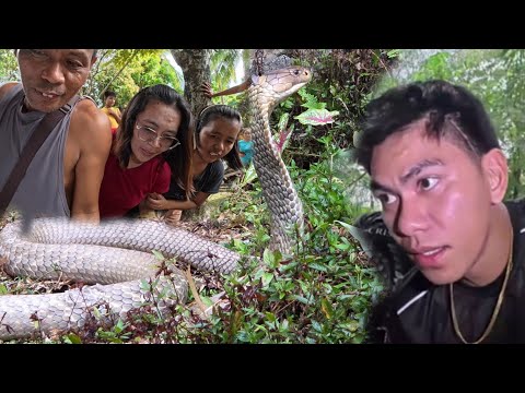 ABANDUNADONG BAHAY PINUGADANG NG KING COBRA