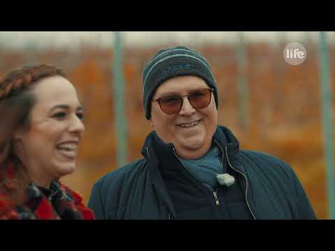 BorJour - Zöldveltelini - Steigler Pincészet