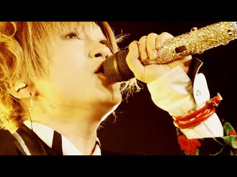 [Lc5] / Only you ~kimi to no kizuna~ (Live Video)