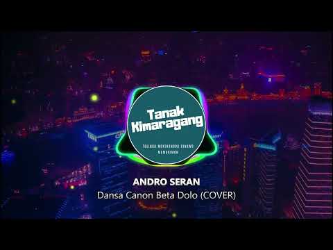 Dansa Canon Beta Dolo(COVER) (Visualized Lyrics Video) - Andro Seran