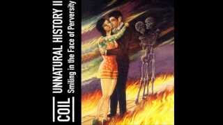 Coil - The Box Theme