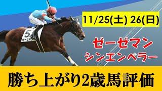 【11月4週目2歳戦評価】11月25日・26日の2歳戦評価！！新馬戦ではゼーゼマンが圧勝！京都2歳ｓでは凱旋門血統シンエンペラーが素質の勝利！