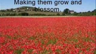 Remembrance Day Video