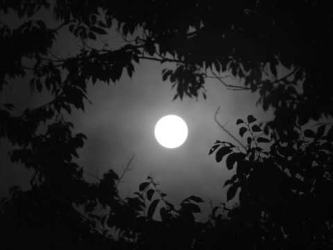 TRANCE VISIONS- The Aviator - Moonnight (Dave 202 Remix)