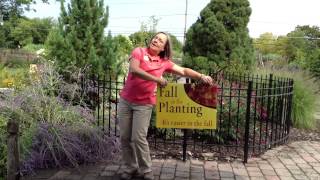 Megan Flips For Fall Planting