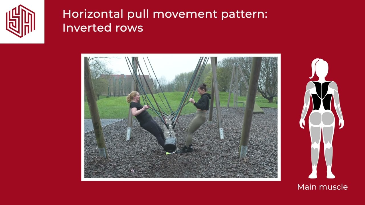 STRONGER at the PARK: Inverted rows