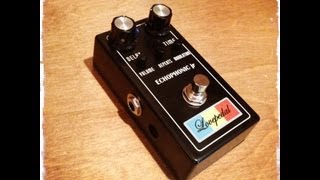 Lovepedal Echophonic Jr. echo pedal, demo by Pete Thorn