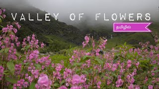 Valley of flowers  in Tamil Uttarakhand  Free food