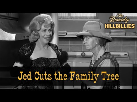 The Beverly Hillbillies | Season 1 Episode 26 | Jed Cuts the Family Tree