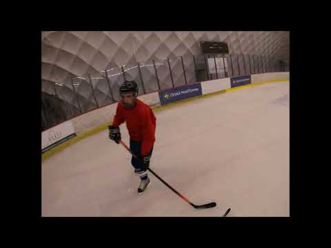 Hokejový trénink A mužstva HC Hořovice