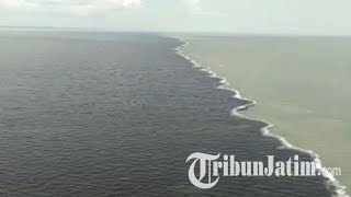 Download lagu Penjelasan BPWS Tentang 2 Warna Air Laut Jembatan SUramadu mp3 Download lagu Penjelasan BPWS Tentang 2 Warna Air Laut Jembatan SUramadu mp3