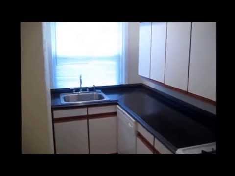 Upgraded One Bedroom Garden Apartment - Portage Park Chicago