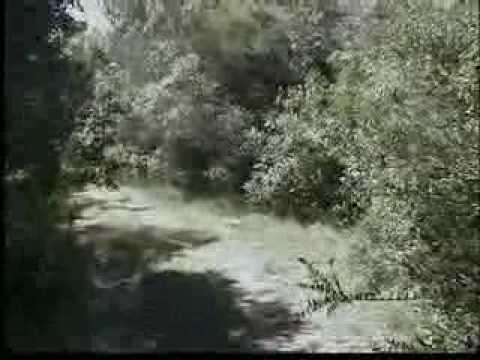 4x4 Sierras Paso de la Cantera y Las Cañas