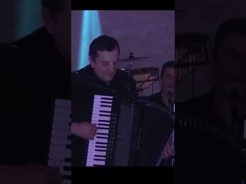 Ljubisa Pavkovic uzivo 2019 🪗 Balkan accordion music 🪗 Acordeón musica