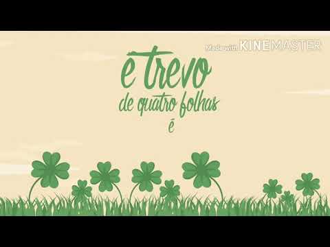 ANAVITÓRIA -  ( Tu ) É Trevo De Quatro Folhas É - MUSICA