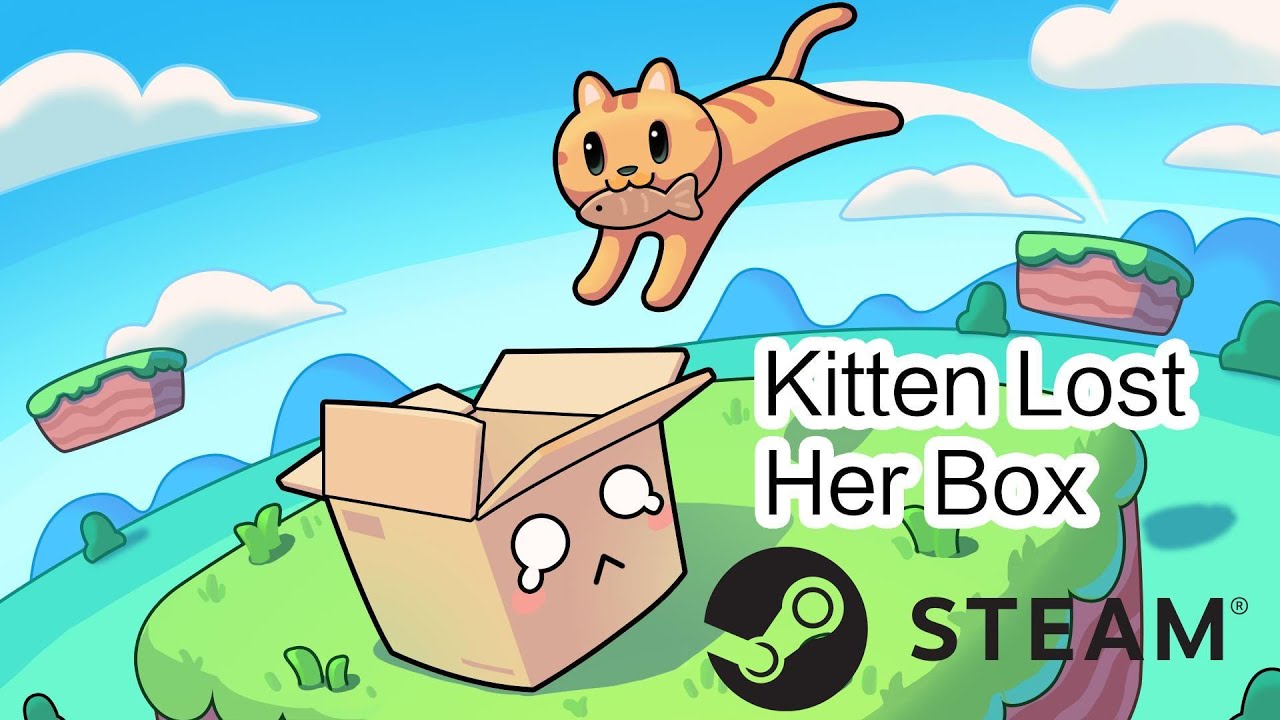 Kitten Lost Her Box