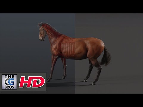 CGI & VFX Demos: "Horse R&D Project - A Breakdown" - by Lonnie Kraatz | TheCGBros