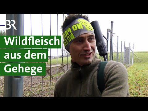 Wohin mit dem Wildfleisch? Mit Direktvermarktung von Wildbret zum Erfolg | Unser Land | BR