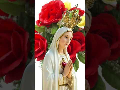 Imaculado Coração de Maria, guia-me para mais perto de Deus.Que eu viva com amor,